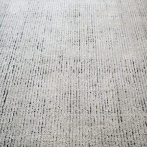 Amini VicenzaOeAvalentinasommariva