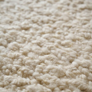 amini dettagli astrea