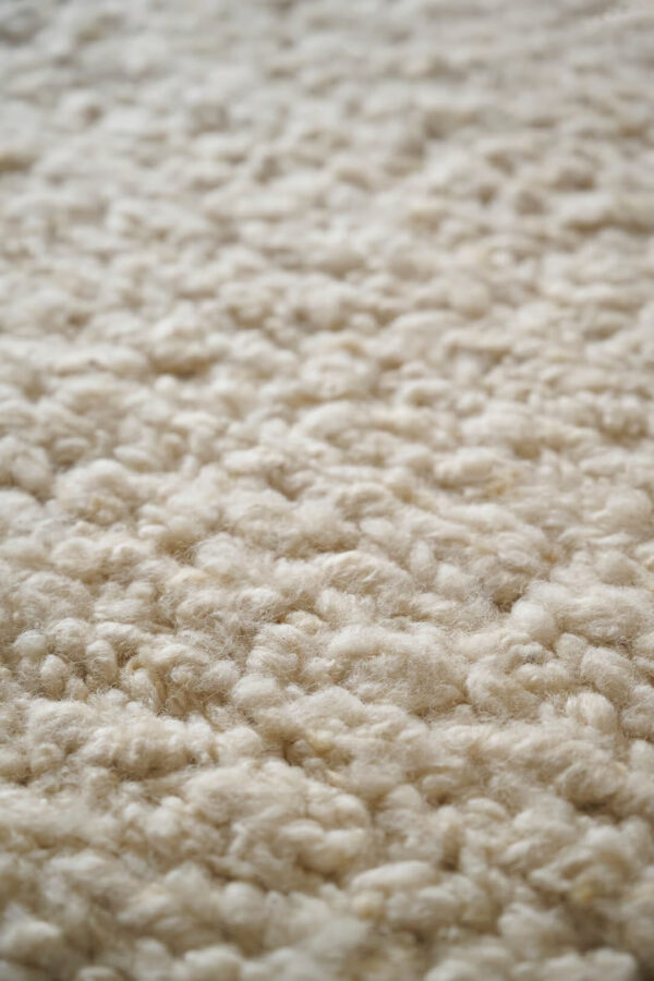 amini dettagli astrea